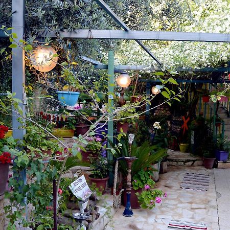 بيت الطبيعة Nature House Gérasa Exterior foto