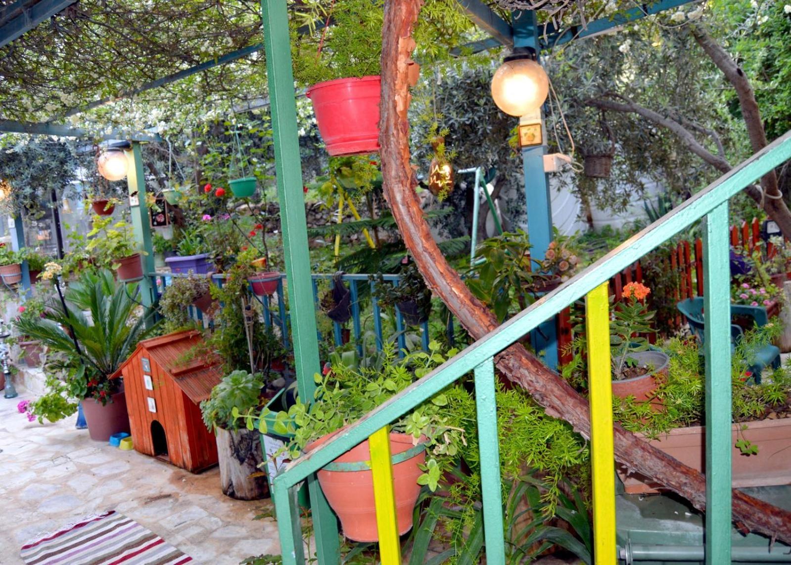 بيت الطبيعة Nature House Gérasa Quarto foto